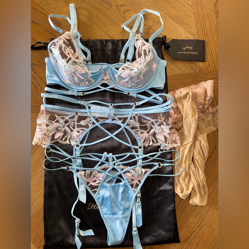 Honey Birdette Baby Blue Silk Lingerie Set